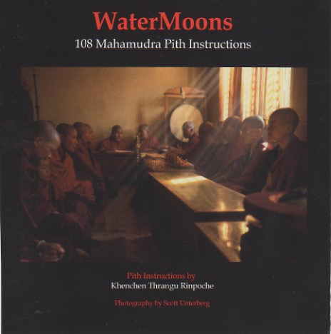 WaterMoons: 108 Pith Instructions with Photos (PDF)